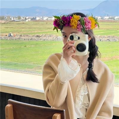 山茶花飘零
