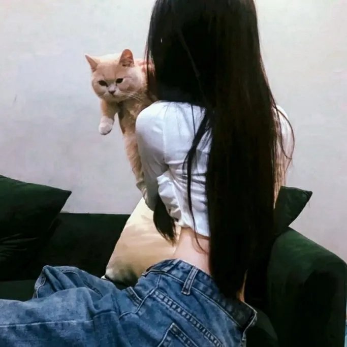 暴劫追缉